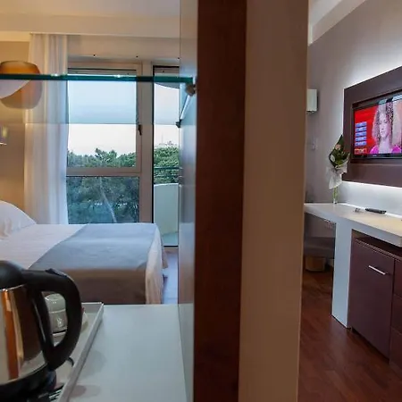 Hotel Raffaello 4*